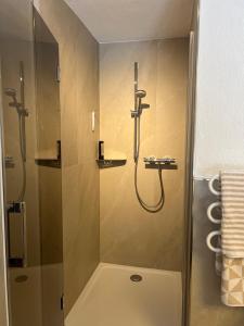 a shower with a glass door in a bathroom at Wildbach Apartments STUBAI - NEW APARTMENTS in Neustift im Stubaital +18 photos