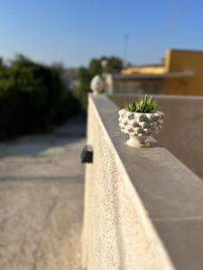 Φωτογραφία από το άλμπουμ του Pisano Suite στο Αγκριτζέντο +1 φωτογραφίες