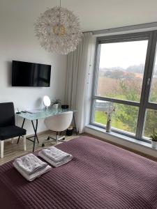 TV a/nebo společenská místnost v ubytování Ubytování Klimkovice