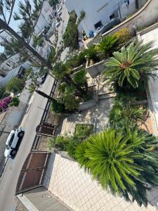 En have udenfor Villa Eleonora