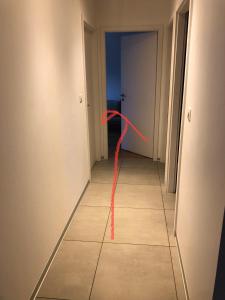 Fotografie z fotogalerie ubytování Féerie de Noël v destinaci Sainte-Croix-en-Plaine