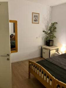 Φωτογραφία από το άλμπουμ του Lumiēre Studio 1 σε Sfântu-Gheorghe +7 φωτογραφίες