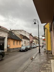 una calle de la ciudad con coches estacionados al costado de la carretera en Lumiēre Studio 1, en Sfântu-Gheorghe