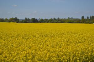 Příroda nedaleko penzionu