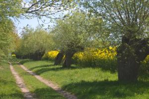 Zahrada ubytování Pension Haß + 4 fotografie