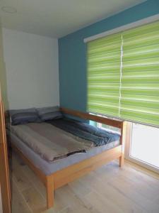 Ένα ή περισσότερα κρεβάτια σε δωμάτιο στο Hostel Sobe Popović