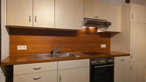 Η κουζίνα ή μικρή κουζίνα στο Quartier132 +8 φωτογραφίες