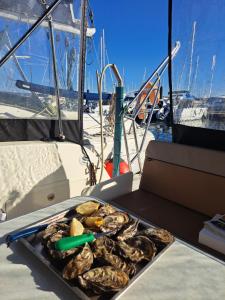 Naturlandskabet i nærheden af feriehuset + 3 billeder