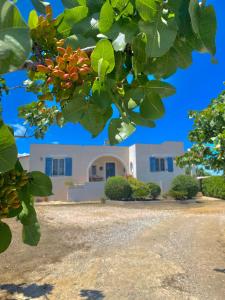 a view of a house from a tree at Tzitzi Pistachio Villa in Khlóï