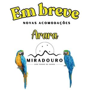 two birds sitting on a sign with the em freeze logo at Miradouro São Pedro da Serra in São Pedro da Serra