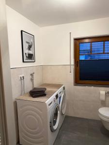 a washing machine in a bathroom with a toilet at Ferienwohnung Grobbel in Schmallenberg