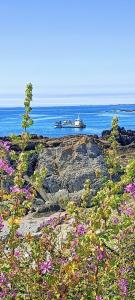 Φυσικό τοπίο κοντά σε αυτό το bed & breakfast