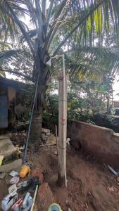a palm tree in the dirt next to a house at Main beach stay in Gokarna