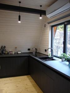 una cocina con fregadero y encimera en Black Crest, en Vyshkiv