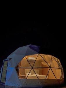 a iguanauanauanauanauanauanauanauanauanauanauanauanauanauana at Wadi Rum Bubbles Wissam camp in Wadi Rum