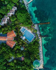an aerial view of a swimming pool and the ocean at Hotel Cocoliso Island Resort in Isla Grande