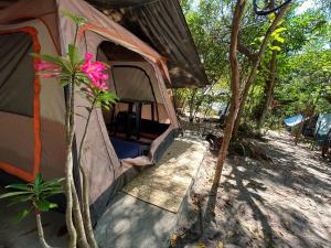 Κήπος έξω από το GaiaPipa ComunidArte