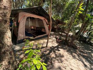 Φωτογραφία από το άλμπουμ του GaiaPipa ComunidArte σε Pipa +41 φωτογραφίες