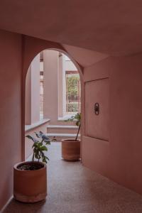 a hallway with two potted plants in a building at Casa Rosa in Querétaro