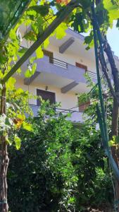 a building with trees in front of it at Guest House Emi in Berat