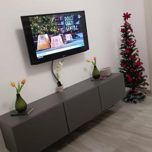 een woonkamer met een kerstboom en een tv bij Sogni di Stelle in Salerno