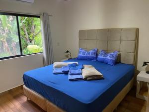 a bedroom with a blue bed with blue pillows at Casa Bella Vista 1 Paraguay in Bella Vista