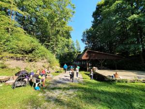 Příroda nedaleko chaty