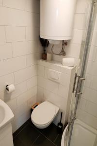 Ένα μπάνιο στο EMIA Family House Čatež +9 φωτογραφίες