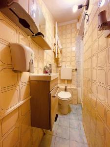 a bathroom with a toilet and a sink at La Casa di Alissia a Brescia in Brescia +22 photos