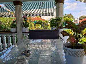 Una mesa de cristal en un porche con plantas en macetas. en 2 Bedroom Appartement in the City, en Kinshasa