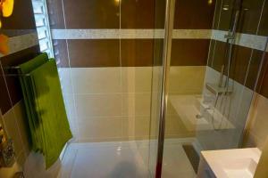a bathroom with a shower with a green towel at Chez Ti Julio - Appartment Premium in Sainte-Anne +4 photos