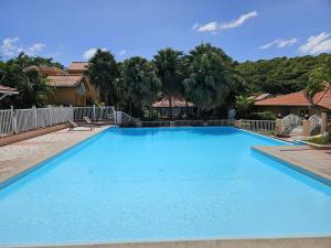 a large blue swimming pool in a yard at Chez Ti Julio - Appartment Premium in Sainte-Anne