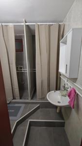 a bathroom with a sink and a shower at Čiča 1 in Dobanovci