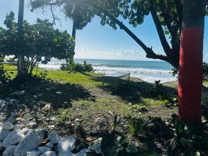 Imagen de la galería de Apartamento a solo 2 minutos de la Playa los Almendros, en Boca Canasta