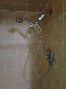 a shower with a shower head in a bathroom at Central Location New Year Stay- Free Parking & Fast Wifi in Kitchener