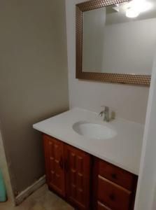 a bathroom with a sink and a mirror at Central Location New Year Stay- Free Parking & Fast Wifi in Kitchener