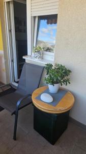 a table with a potted plant on top of a window at Apartman Trebinje sa parkingom in Trebinje