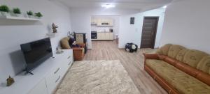 a living room with a flat screen tv and couches at Casa CDC in Şimnicu de Sus