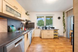 a kitchen with a sink and a counter at VILA FAMELIA VALTICE Adults Only in Valtice
