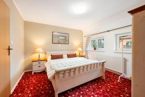 a bedroom with a large bed and a red carpet at VILA FAMELIA VALTICE Adults Only in Valtice