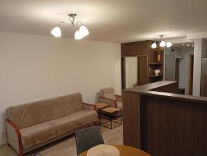 a living room with a couch and a bar at Łąkowa 7 Apartamenty LUNA Białystok in Skorka +11 photos
