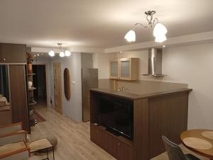 a kitchen and living room with a counter and a table at Łąkowa 7 Apartamenty LUNA Białystok in Skorka
