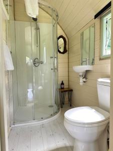 a bathroom with a shower and a toilet and a sink at The Mainstay Pod at Hidden Wood Glamping in Corsley