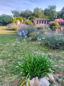 Lamothe-CasselにあるL'écurie du Masのギャラリーの写真 +6枚の写真