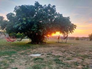 Afbeelding uit fotogalerij van L'écurie du Mas in Lamothe-Cassel +13 foto's