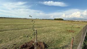 Φυσικό τοπίο κοντά σε αυτό το κάμπινγκ