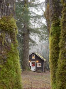 a small cabin in the middle of a forest at Sunwolf Riverside Cabins in Brackendale