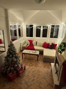 a living room with a christmas tree and a couch at Vikendica Dva labuda in Banoštor