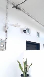 a room with a camera and a plant at Little Loti Sikumana in Maulafa +14 photos