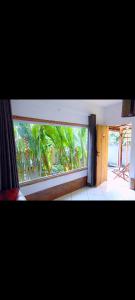 Μπαλκόνι ή βεράντα στο Jadypeba